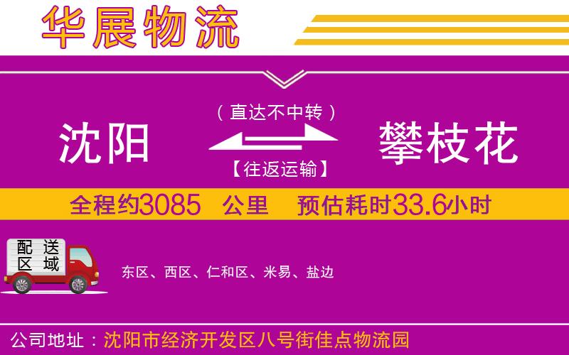 沈陽(yáng)到攀枝花物流專(zhuān)線(xiàn)