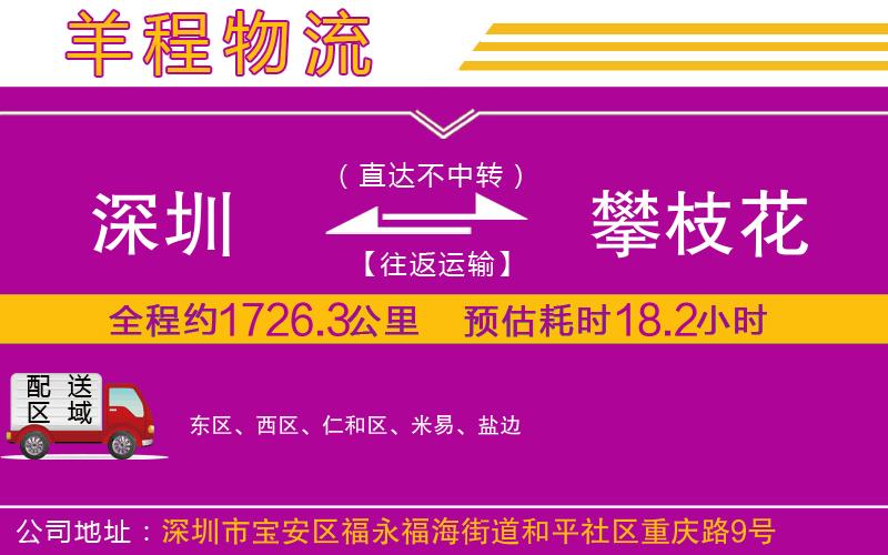 深圳到攀枝花貨運(yùn)公司