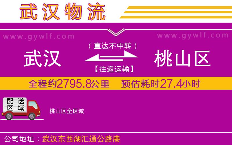 武漢到桃山區(qū)貨運公司