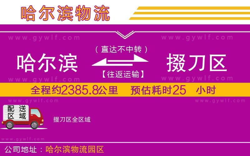 哈爾濱到掇刀區(qū)物流公司