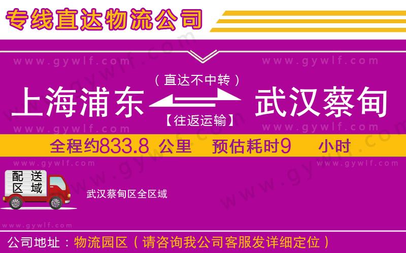上海浦東區(qū)到武漢蔡甸區(qū)物流公司