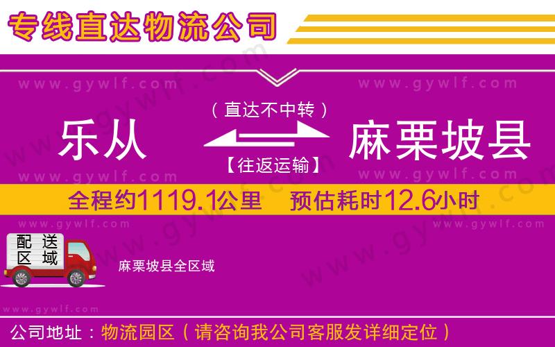 樂從到麻栗坡縣物流公司